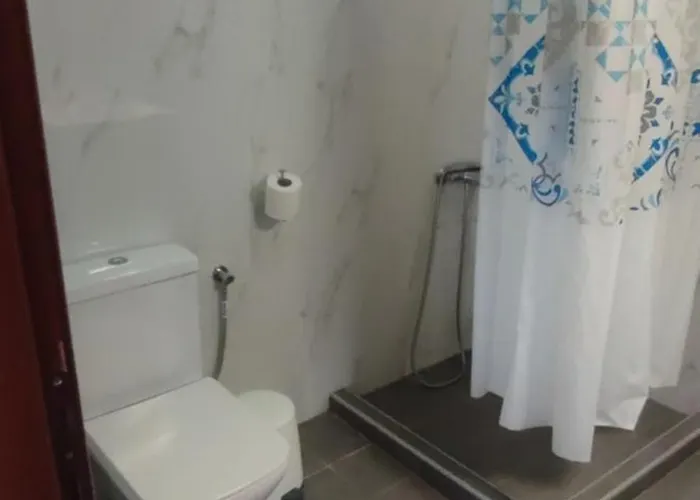 Seagull Néa Péramos